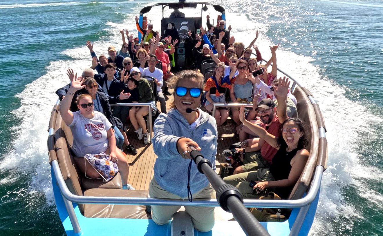 Passeios de Barco no Algarve: Explore as Grutas de Benagil e Veja Golfinhos no Seu Habitat Natural